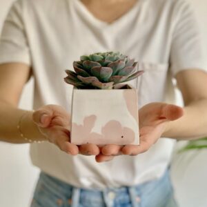 Pot Cuadrado 7cm