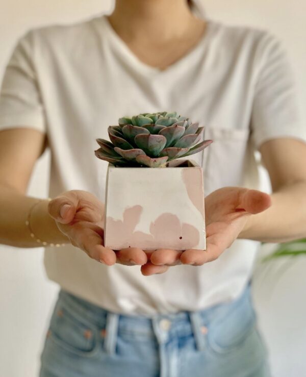 Pot Cuadrado 7cm