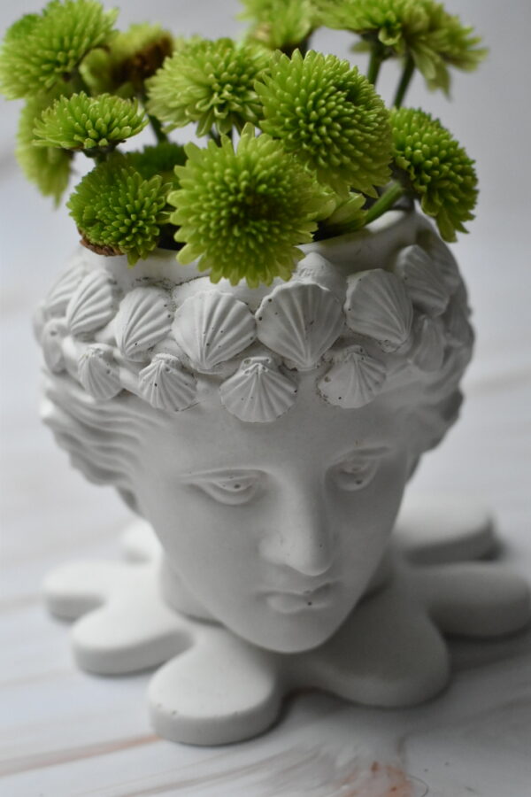 Pot Artemisa - Image 2