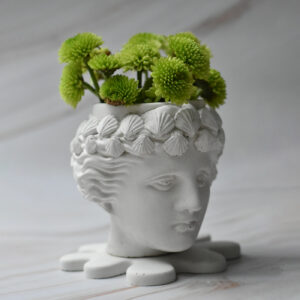 Pot Artemisa