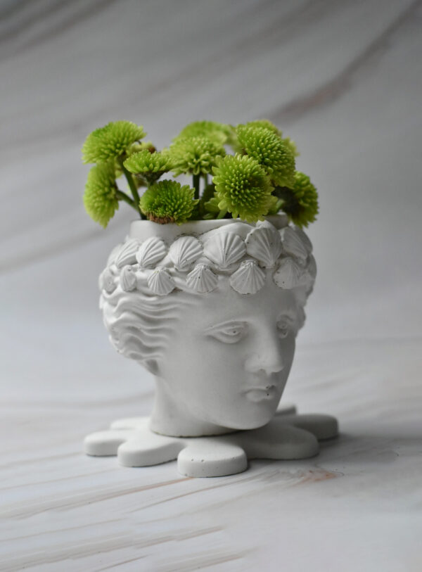 Pot Artemisa